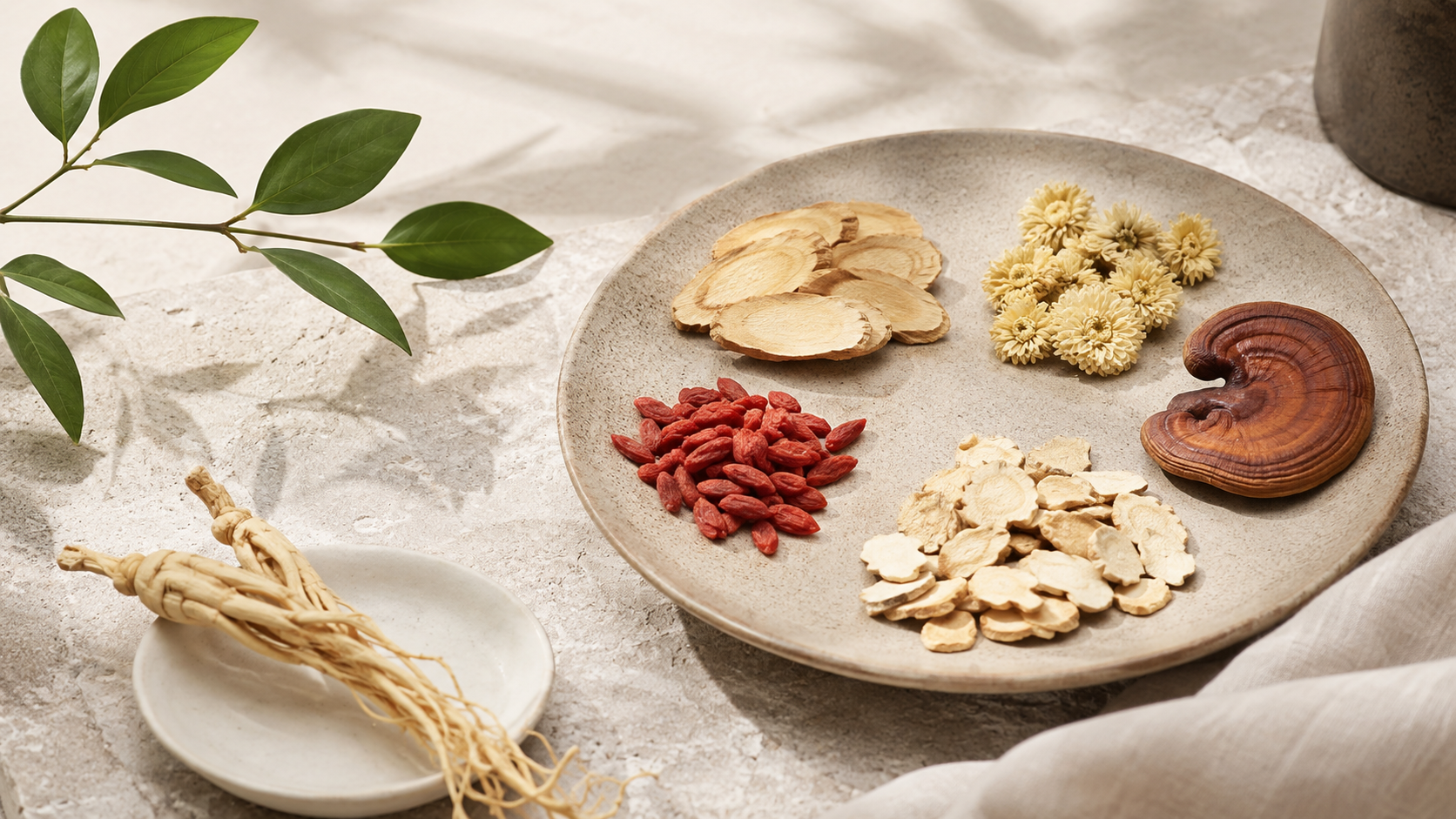 Botanical ingredients