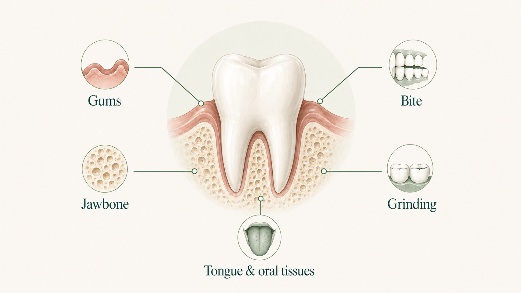 What Your Dentist Sees That You Can't